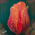 acrylique_0038