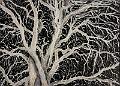 acrylique_0041