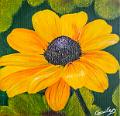 acrylique_0051