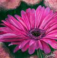 acrylique_0052