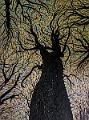 acrylique_0060