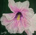 acrylique_0077