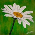 acrylique_0096