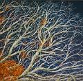 acrylique_0110