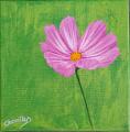 acrylique_0143