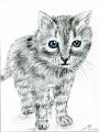 dessin_0001