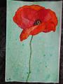 aquarelle_0004