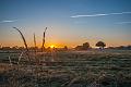 2014_06_21(0010)