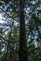 2014_11_11(0050)