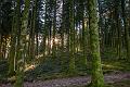 2014_12_23(0007)