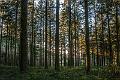 2014_12_23(0025)