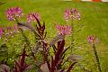 2010_08_19(042)