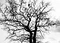 2011_03_26(019)