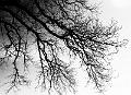 2011_04_02(009)