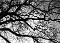 2011_04_02(030)