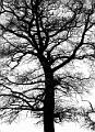2011_04_02(051)
