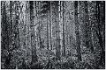 2013_03_03(054)