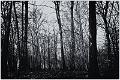 2013_03_03(083)