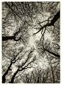 2013_03_24(072)