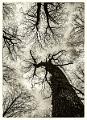 2013_03_24(083)