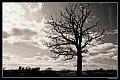 2010_04_05(069)